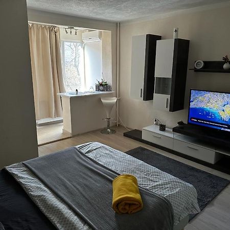 Reeas Apartament Τιμισοάρα Εξωτερικό φωτογραφία