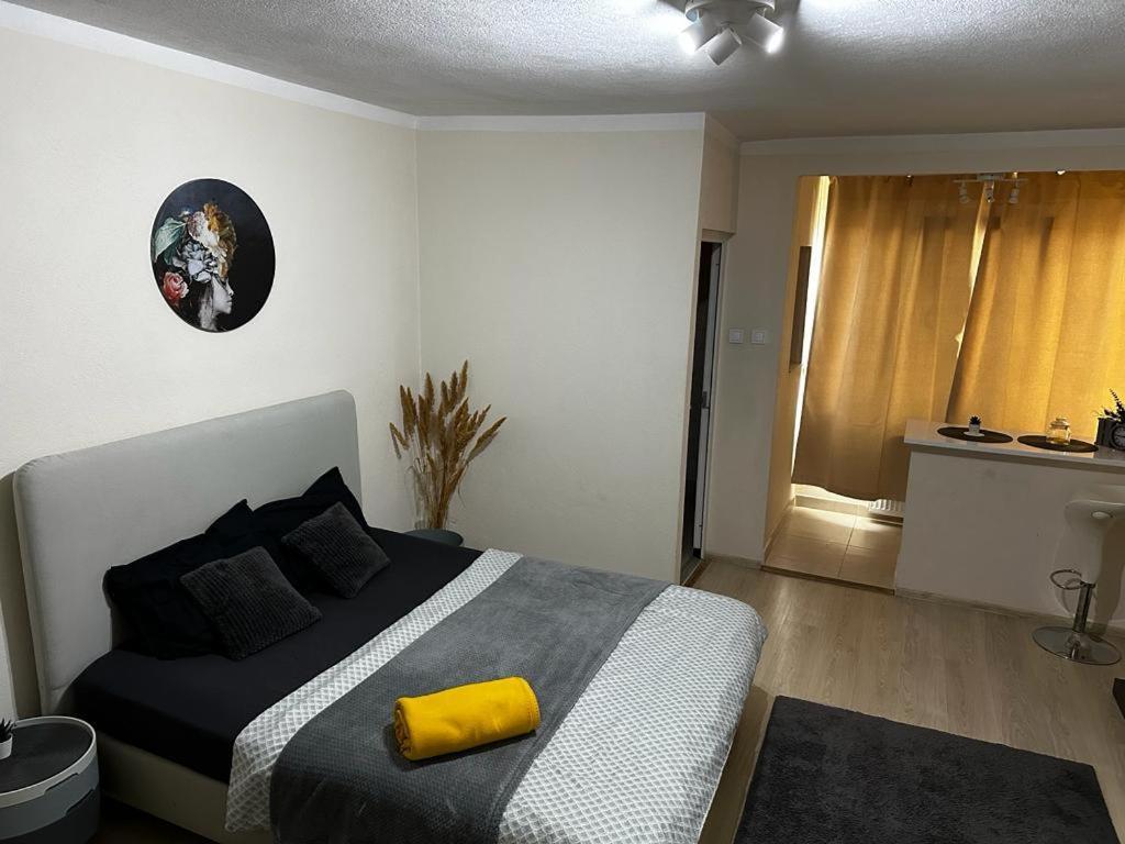 Reeas Apartament Τιμισοάρα Εξωτερικό φωτογραφία