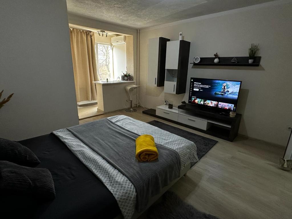 Reeas Apartament Τιμισοάρα Εξωτερικό φωτογραφία
