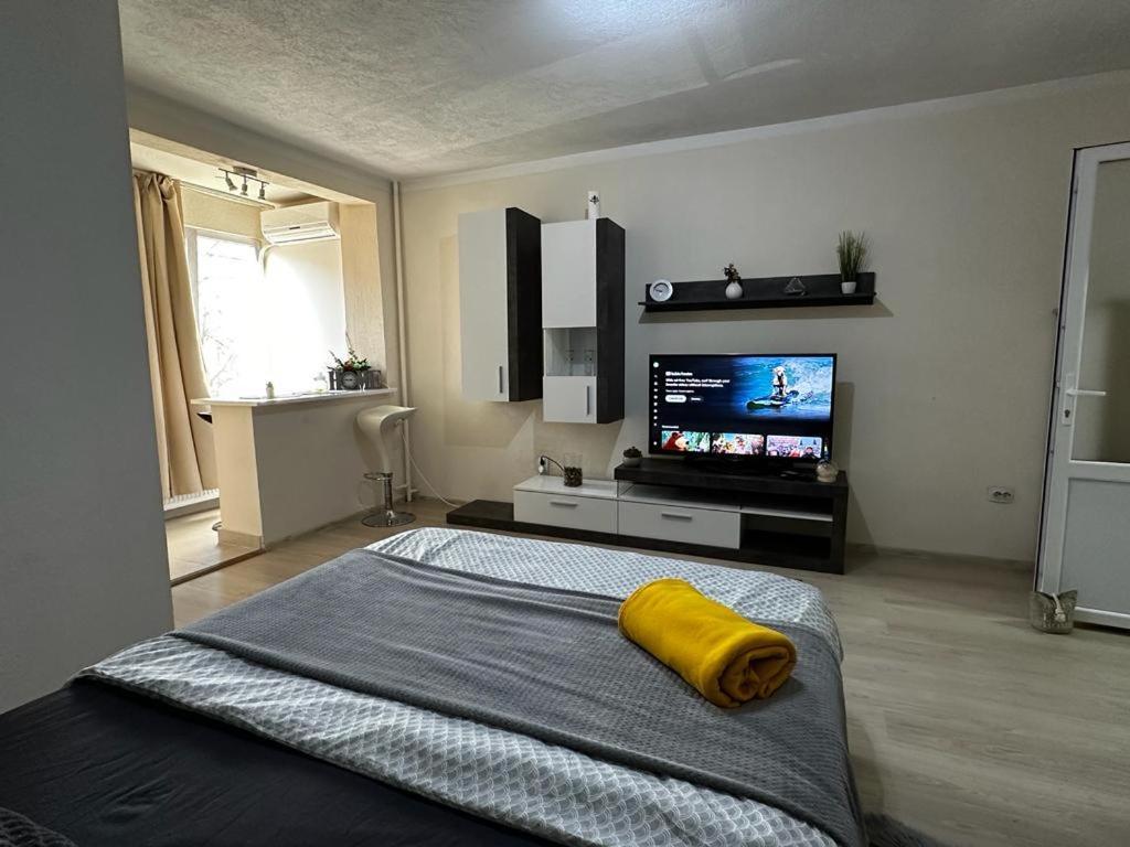 Reeas Apartament Τιμισοάρα Εξωτερικό φωτογραφία