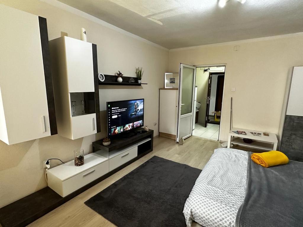 Reeas Apartament Τιμισοάρα Εξωτερικό φωτογραφία