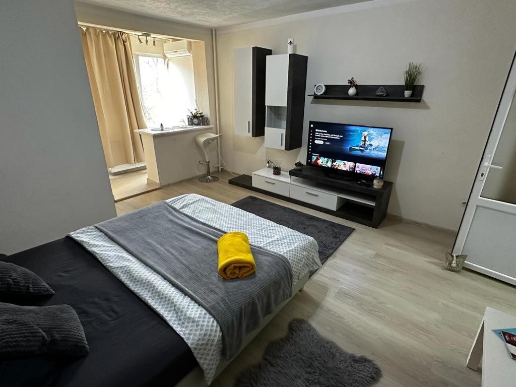 Reeas Apartament Τιμισοάρα Εξωτερικό φωτογραφία