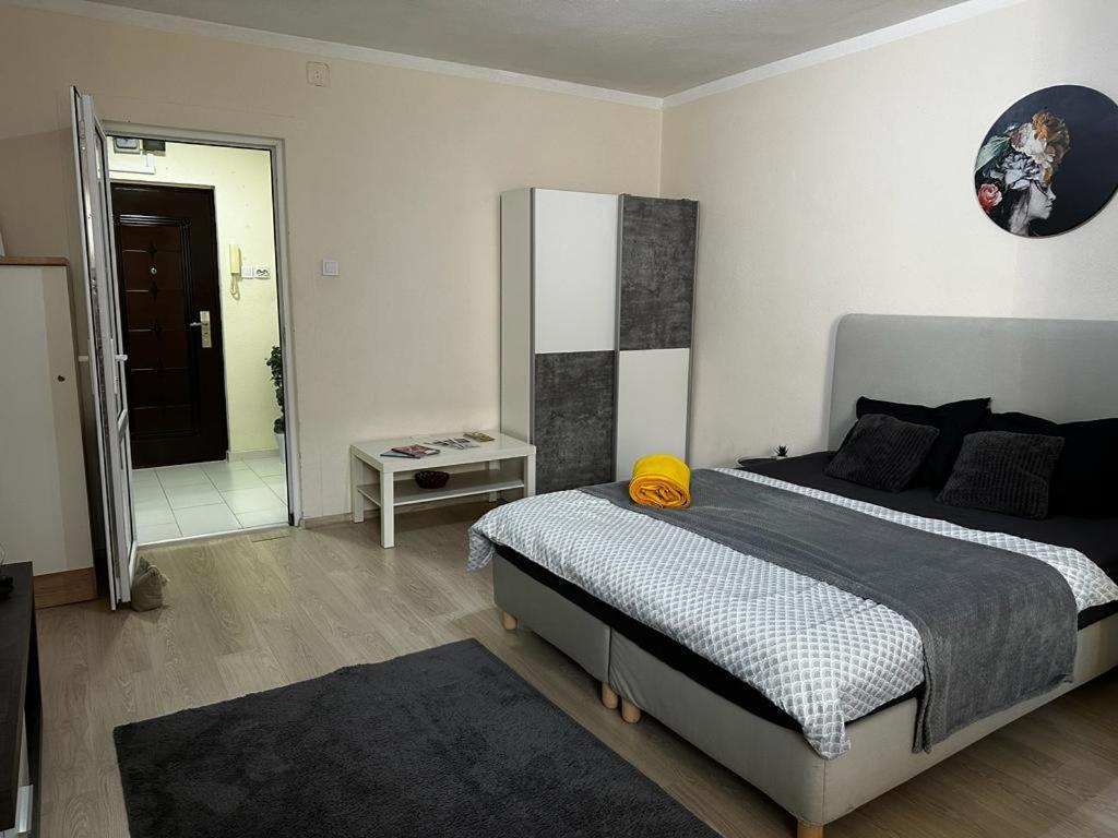 Reeas Apartament Τιμισοάρα Εξωτερικό φωτογραφία