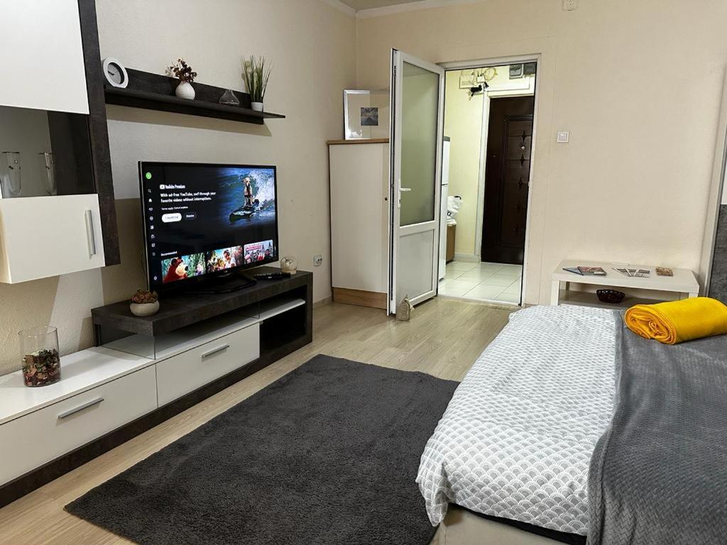 Reeas Apartament Τιμισοάρα Εξωτερικό φωτογραφία